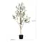 4ft. Potted Artificial Olive Tree with Natural Trunk